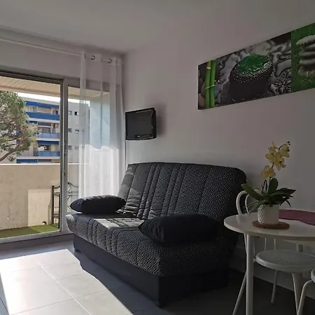 Grand Calme Bien Situe Apartment *